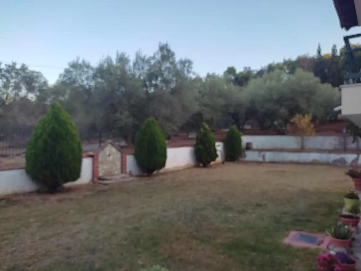 Elaiones House Apartman Szaloniki